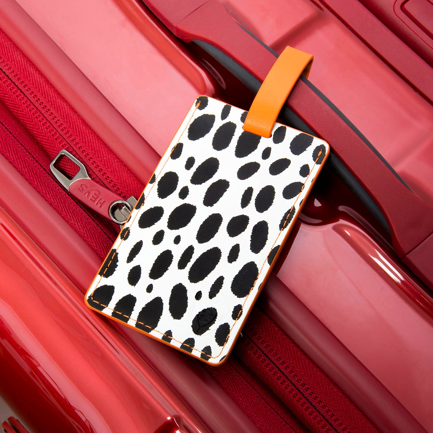Dalmatian