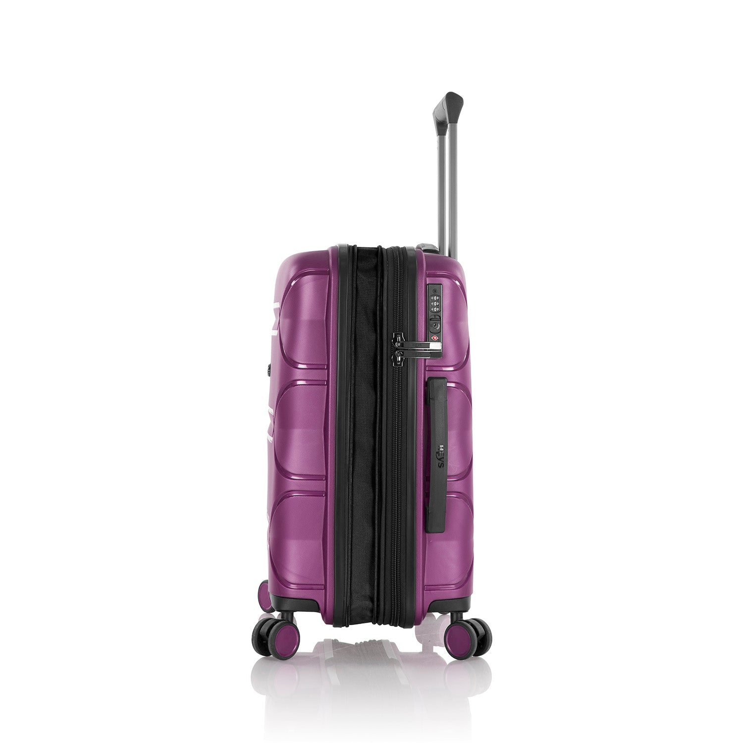 #color_Plum