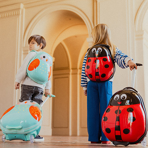 #color_Lady Bug