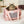 Pawsenger Pet Carrier - Rose | Airline Approved